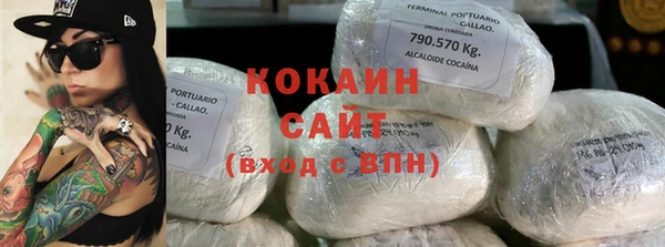 PSILOCYBIN Алзамай
