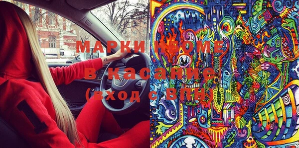 PSILOCYBIN Алзамай