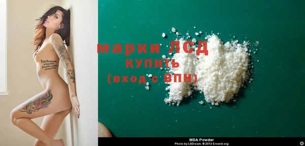 PSILOCYBIN Алзамай