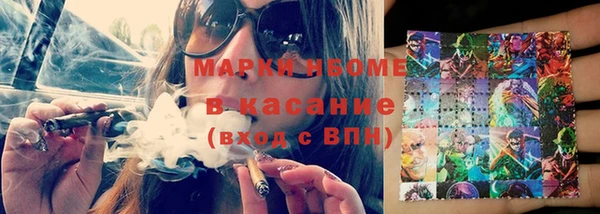 PSILOCYBIN Алзамай