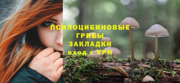 PSILOCYBIN Алзамай
