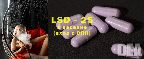 PSILOCYBIN Алзамай