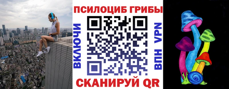 закладка  Куйбышев  Псилоцибиновые грибы MAGIC MUSHROOMS 